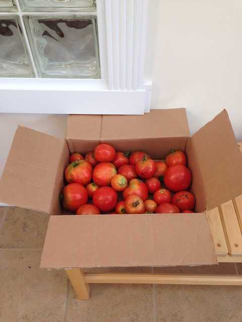 Box with Tomatoes