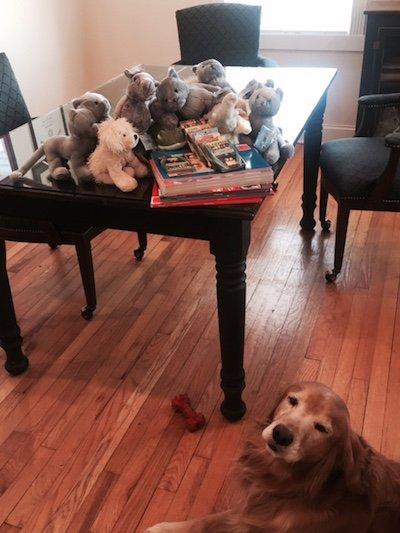 Books and Stuffed Animals